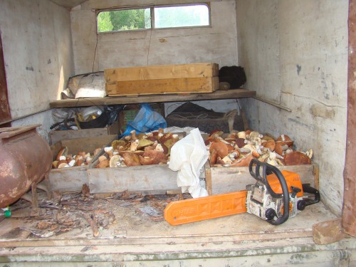 14 собственно, процесс.jpg (369.55 КБ) 5653 просмотра 14 собственно, процесс.jpg