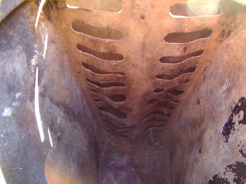 HD0010.JPG