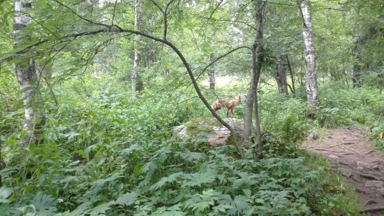 2019-07-23 19-33-26.JPG