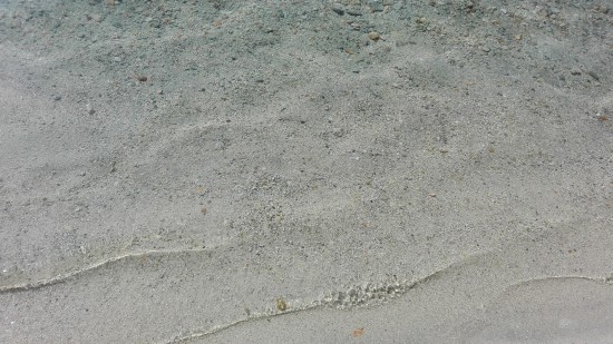 2019-07-26 11-00-35.JPG