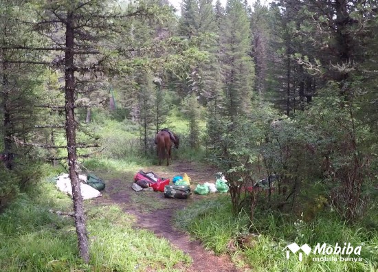 31. Экспедиция на Мультинские озера 2019 - добрались до слияния Мульты и Поперечной.jpg (316.66 КБ) 8250 просмотров 31. Экспедиция на Мультинские озера 2019 - добрались до слияния Мульты и Поперечной