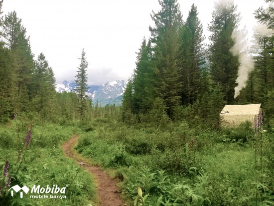 35. Экспедиция на Мультинские озера 2019 - палатка Роснар Р-34 в лесу Мультинского участка Катунского биосферного заповедника. Мобиба.jpg (286.92 КБ) 8186 просмотров 35. Экспедиция на Мультинские озера 2019 - палатка Роснар Р-34 в лесу Мультинского участка Катунского биосферного заповедника. Мобиба