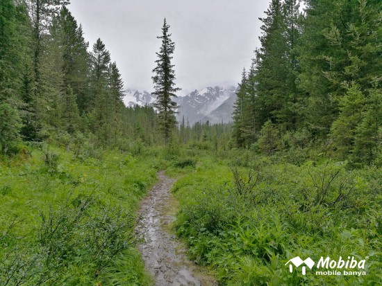 46. Экспедиция на Мультинские озера 2019 - дорога до озера Поперечное.jpg (435.8 КБ) 8186 просмотров 46. Экспедиция на Мультинские озера 2019 - дорога до озера Поперечное