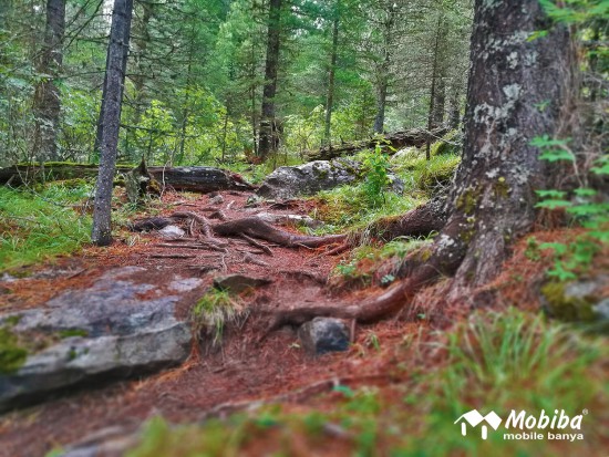 48. Экспедиция на Мультинские озера 2019 - дорога до озера Поперечное.jpg (368.78 КБ) 8178 просмотров 48. Экспедиция на Мультинские озера 2019 - дорога до озера Поперечное