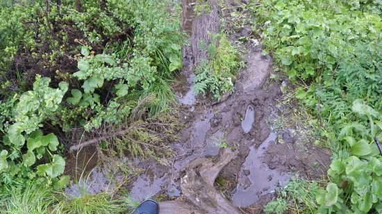 49. Экспедиция на Мультинские озера 2019 - дорога до озера Поперечное.jpg (296.02 КБ) 8180 просмотров 49. Экспедиция на Мультинские озера 2019 - дорога до озера Поперечное