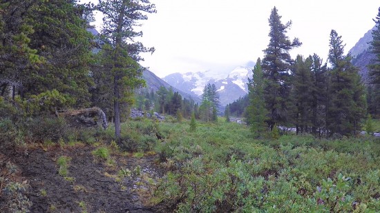 56. Экспедиция на Мультинские озера 2019 - дорога до озера Поперечное.jpg (318.67 КБ) 8229 просмотров 56. Экспедиция на Мультинские озера 2019 - дорога до озера Поперечное