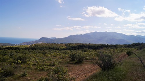 _DSC0719.JPG
