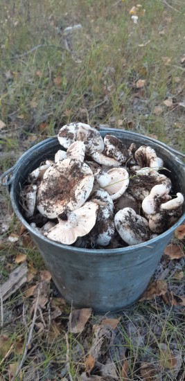 ТОЖЕ ОХОТА)))