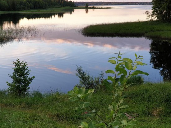 20190626_213532.jpg (143.02 КБ) 8061 просмотр Озеро Боровно