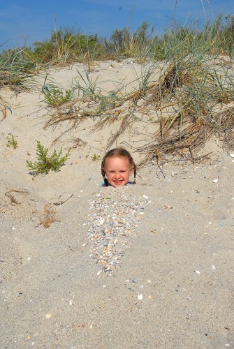 D2X_8748 кайфандра v11.jpg