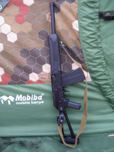 02. Сайга изначальная.jpg