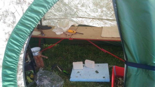 46 почти не нагадили.jpg