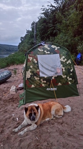 DSC_0533.JPG