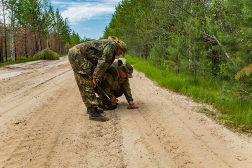 IMG_6160_1_новый размер.jpg (267.74 КБ) 5702 просмотра замер следов медведя