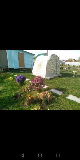 Screenshot_20201011-114522.jpg