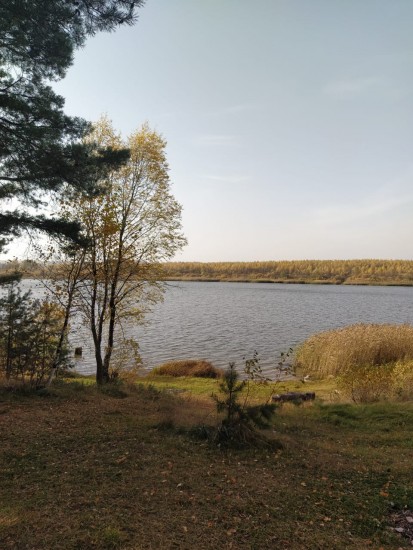 IMG-20201014-WA0016.jpg