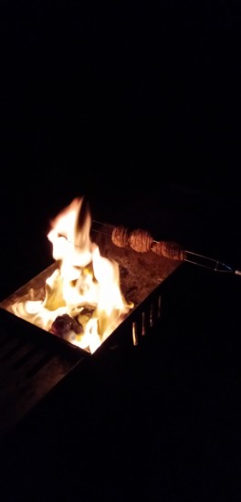 IMG_20201010_193919.jpg