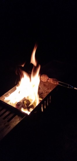 IMG_20201010_193920.jpg