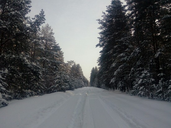 колея.jpg (399.6 КБ) 4692 просмотра колея.jpg