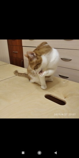 Screenshot_2021-04-28-00-09-44-906_com.miui.gallery.jpg