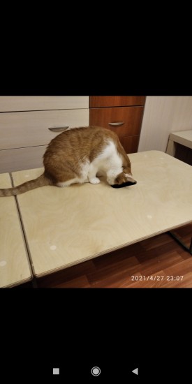 Screenshot_2021-04-28-00-09-11-119_com.miui.gallery.jpg