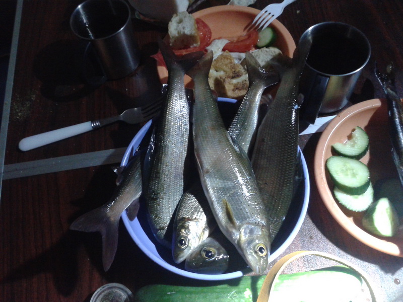 2014-11-02 19.14.10.jpg