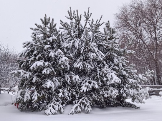 20230103_152736.jpg (518.97 КБ) 3239 просмотров 20230103_152736.jpg