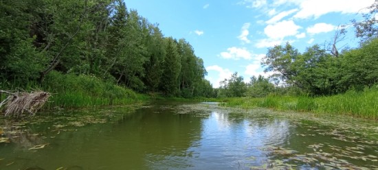 IMG_20230709_135029.jpg