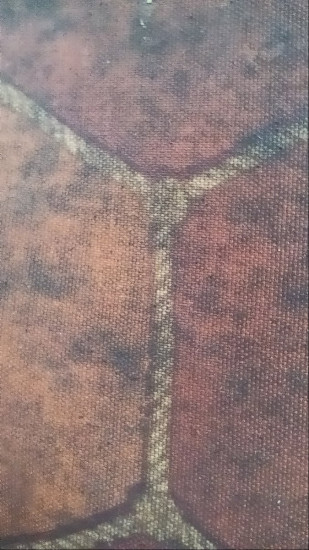 1728631161423.jpg