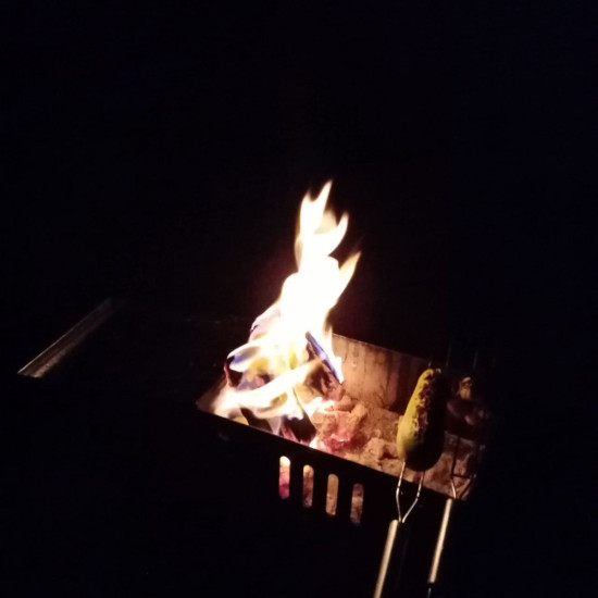 IMG_20250214_142018_991.jpg