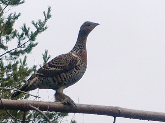 PB040184.jpg