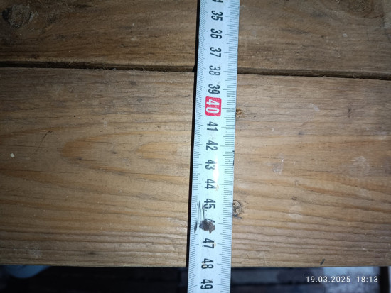 IMG_20250319_181341.jpg