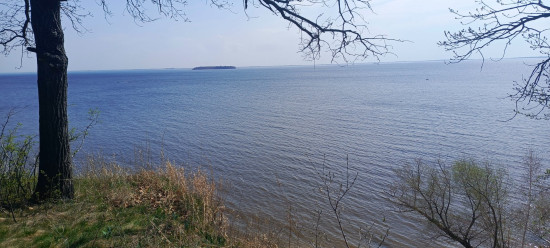 IMG_20250420_125859_016.jpg