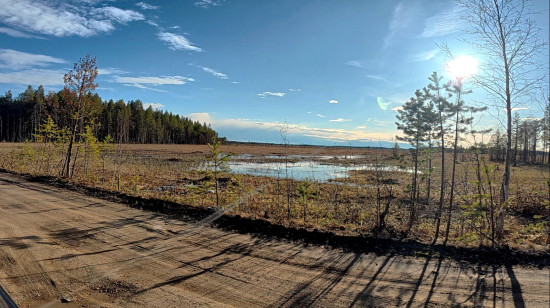 край болот, озёр и лесов