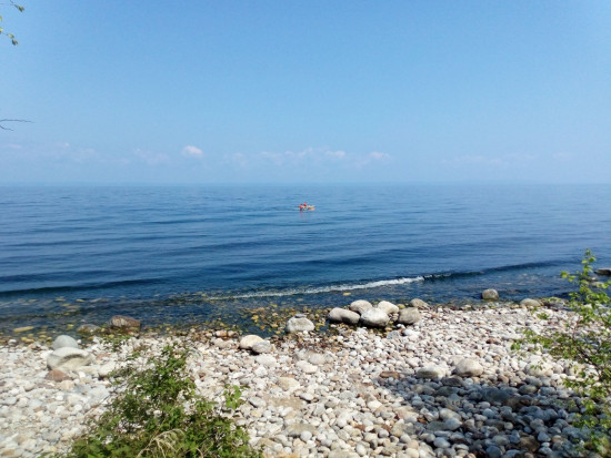 IMG_20250614_113017_009.jpg