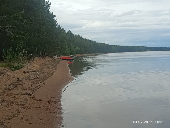 IMG_20250703_165309.jpg