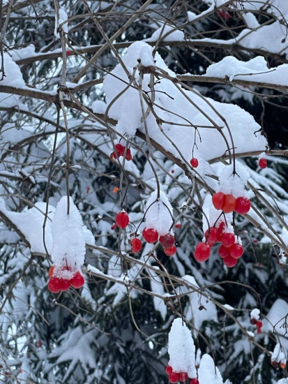 photo_5411293184328930126_y.jpg (253 КБ) 215 просмотров photo_5411293184328930126_y.jpg