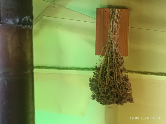 IMG_20260318_160159.jpg