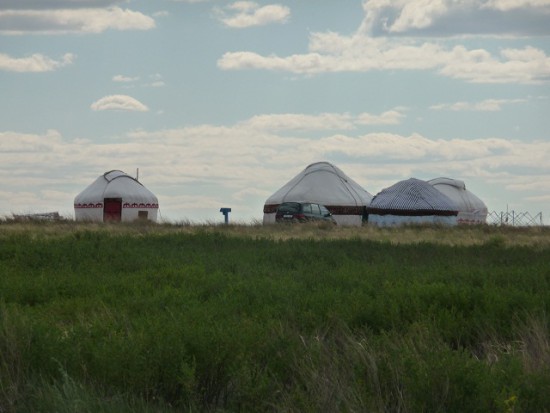 P1050784.jpg