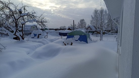IMG_20260130_093928.jpg