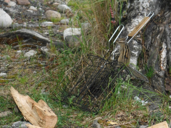 DSCF8793.JPG