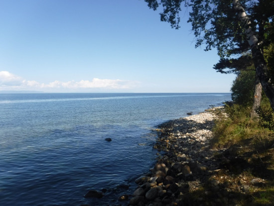 DSCF8842.JPG