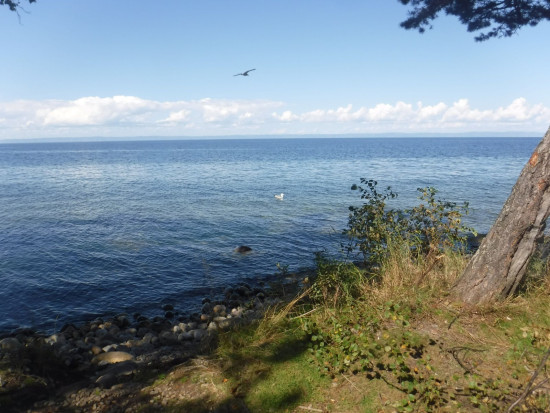 DSCF8844.JPG