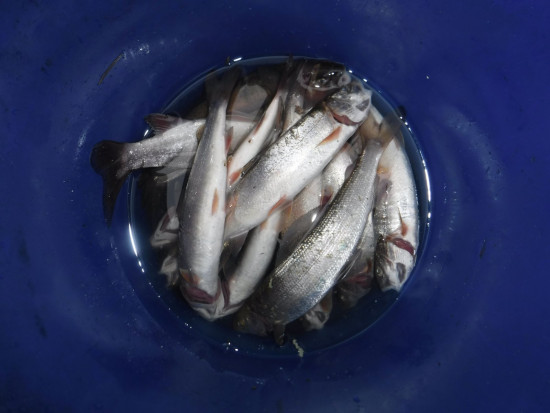 DSCF8858.JPG