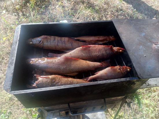 IMG_20261005_095307_713.jpg
