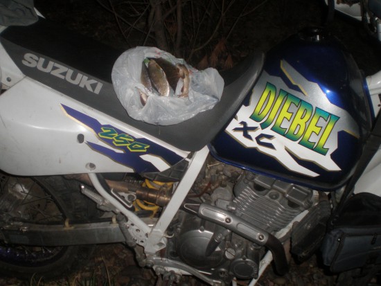 Изображение 631.jpg