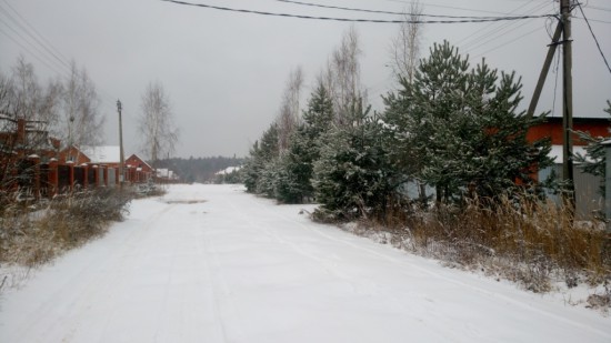 DSC_1093.JPG