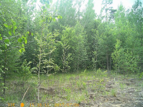 PTDC0289.jpg
