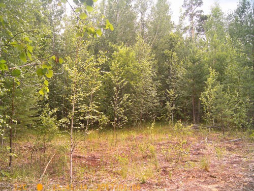 PTDC0296.jpg