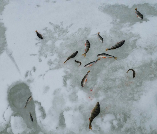 2018-02-03 20.07.29.jpg